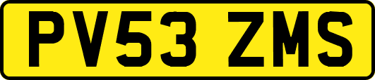 PV53ZMS