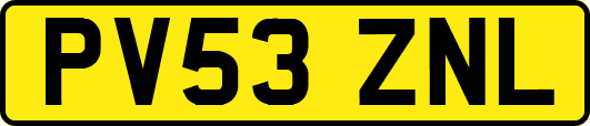 PV53ZNL
