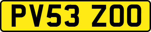 PV53ZOO
