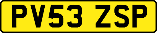 PV53ZSP