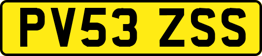 PV53ZSS