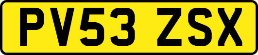 PV53ZSX