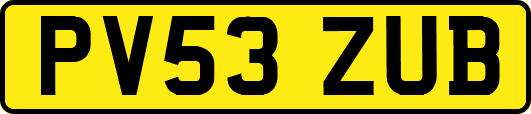 PV53ZUB