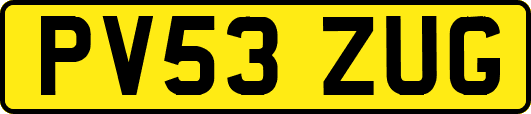 PV53ZUG