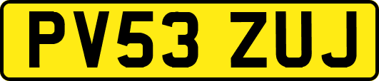PV53ZUJ