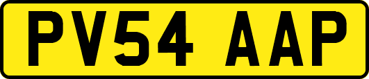 PV54AAP