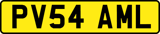 PV54AML