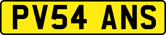 PV54ANS