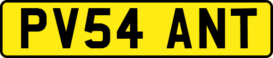 PV54ANT