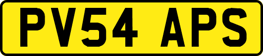 PV54APS