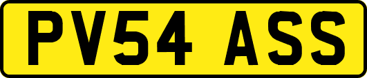 PV54ASS