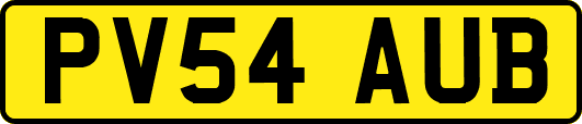 PV54AUB