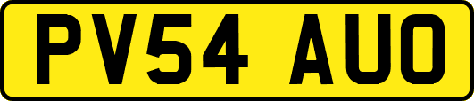 PV54AUO