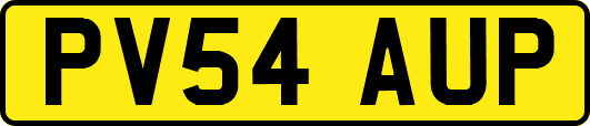 PV54AUP