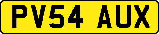 PV54AUX