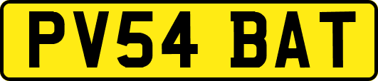 PV54BAT