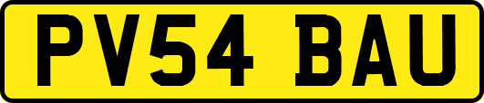 PV54BAU