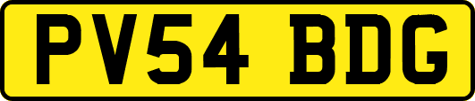 PV54BDG