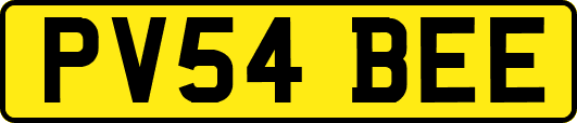 PV54BEE