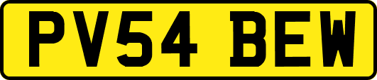 PV54BEW