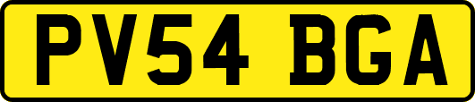 PV54BGA