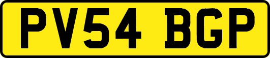 PV54BGP
