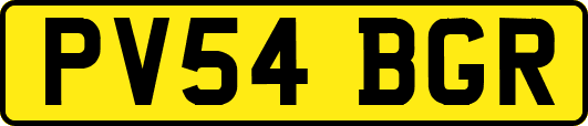 PV54BGR