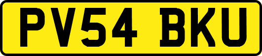 PV54BKU