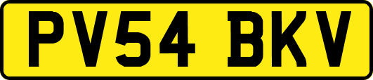 PV54BKV