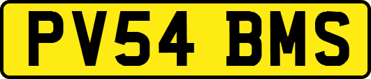 PV54BMS