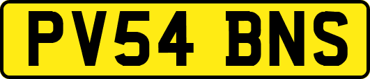 PV54BNS