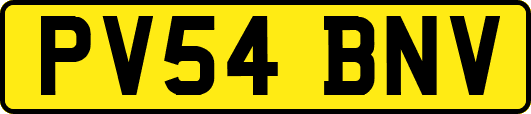 PV54BNV