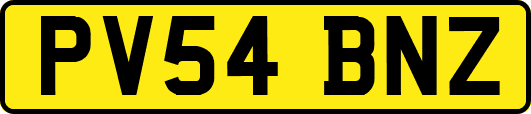 PV54BNZ