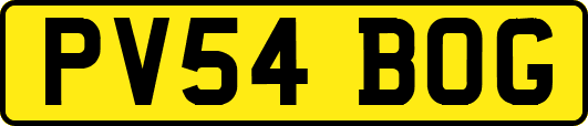 PV54BOG