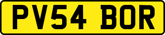 PV54BOR