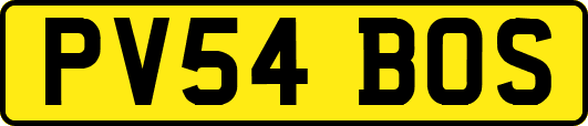 PV54BOS