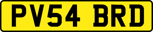 PV54BRD