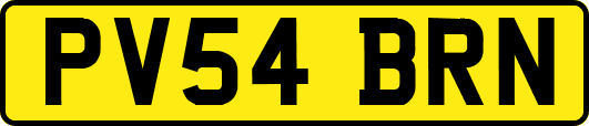 PV54BRN