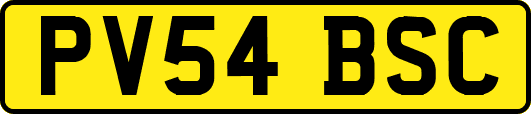 PV54BSC
