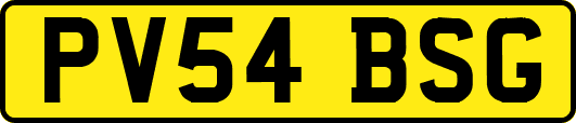 PV54BSG