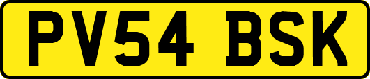 PV54BSK