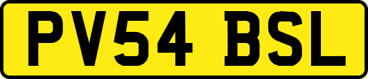 PV54BSL