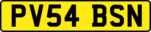 PV54BSN