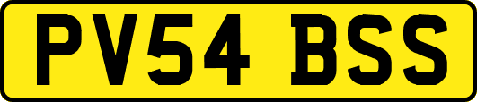 PV54BSS