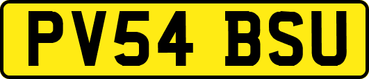 PV54BSU