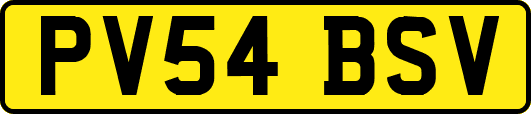 PV54BSV