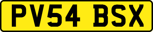 PV54BSX