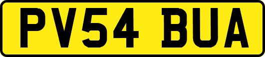 PV54BUA