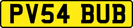 PV54BUB
