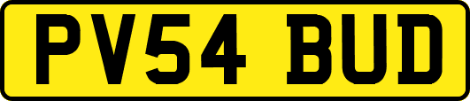 PV54BUD